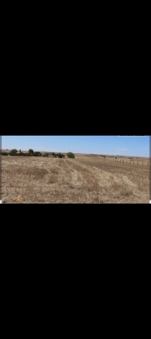 Vente Terrain Oran Bethioua