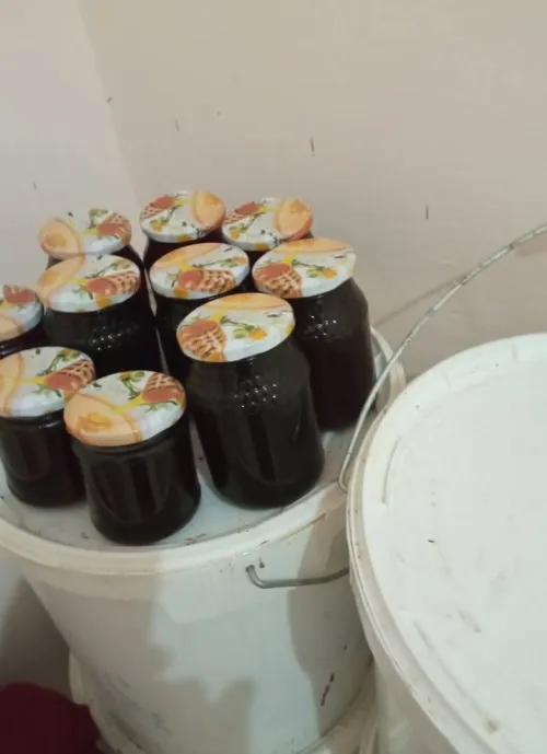 Miel naturel pur - عسل طبيعي 100٪ (سدر، جرجير، كاليتوس، جبلي، متعدد الزهور)