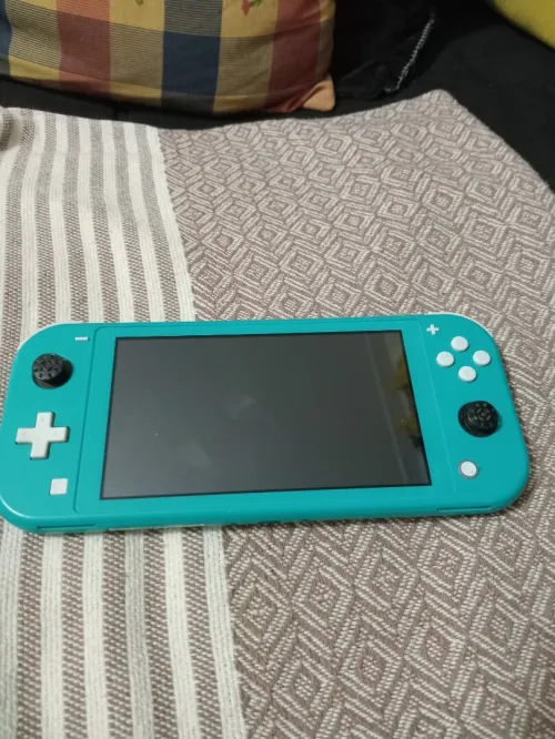 Nintendo switch lite