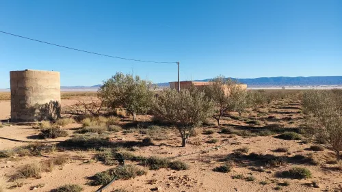 Vente Terrain Agricole Djelfa Had sahary