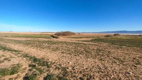 Vente Terrain Agricole Djelfa Had sahary