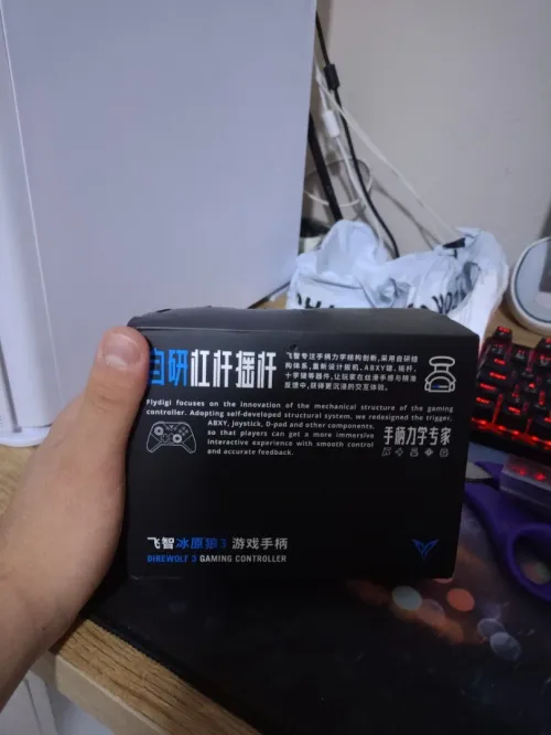 Flydigi Direwolf 3