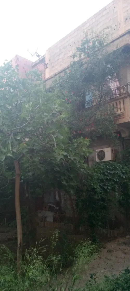 Vente Villa Oum El Bouaghi Oum el bouaghi