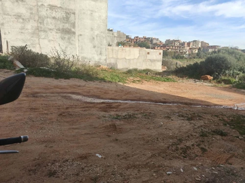 Vente Terrain Tipaza Cherchell
