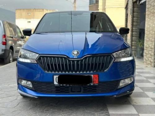 Skoda Fabia 2021 Monte Carlo