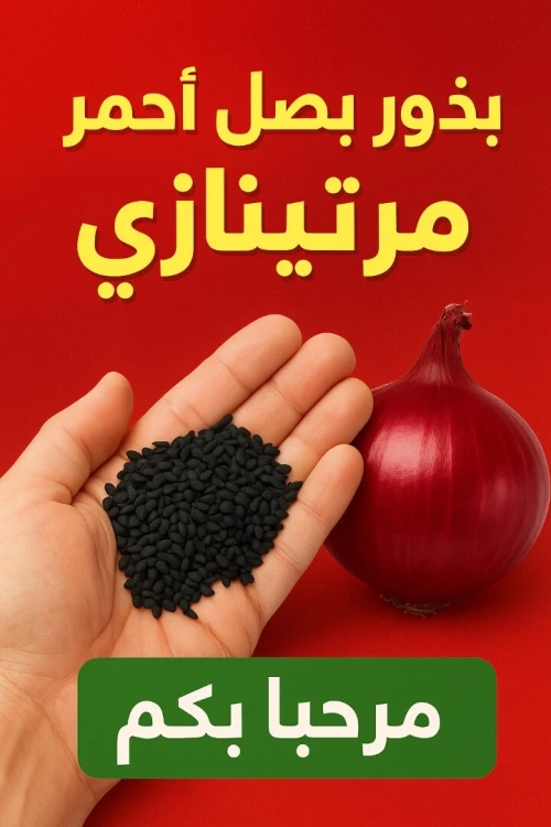 زريعة البصل الأحمر مرتينازي