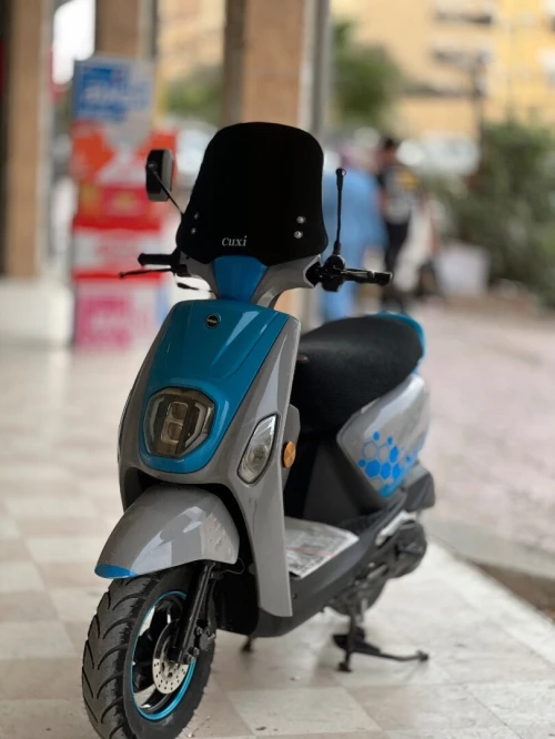 Vms estate x 2021