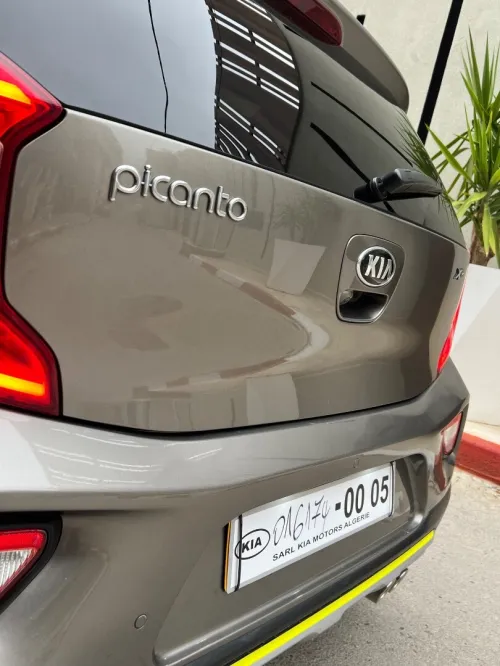 Kia Picanto 2019 Xline