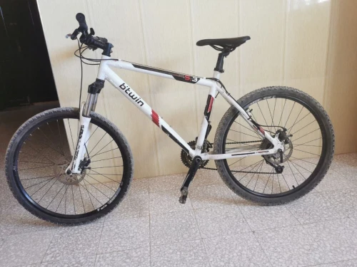   Bitwin Rochrider