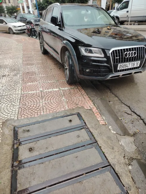 Audi Q5 2016 Off Road