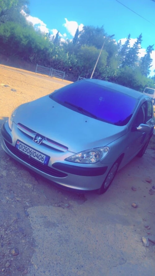 Peugeot 307 2004 307