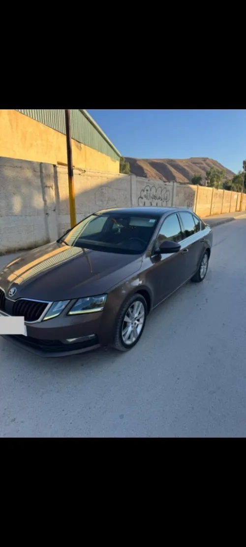 Skoda Octavia 2019 Clever