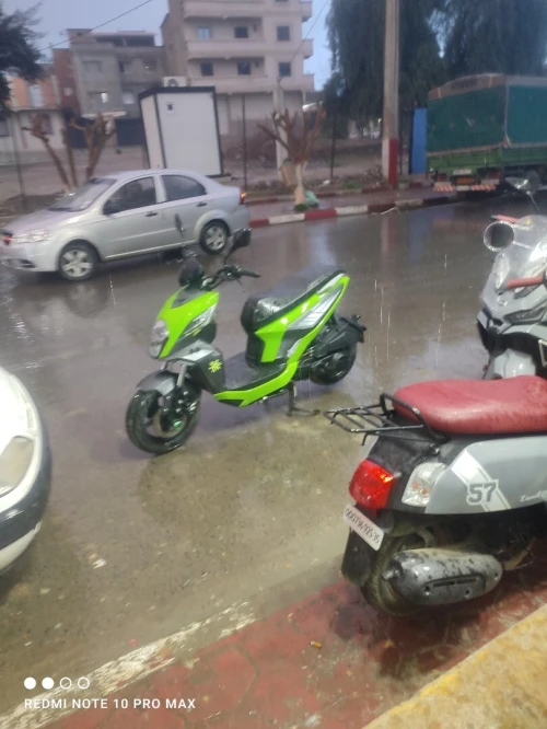Lifan vispa Faracoul t13 2025