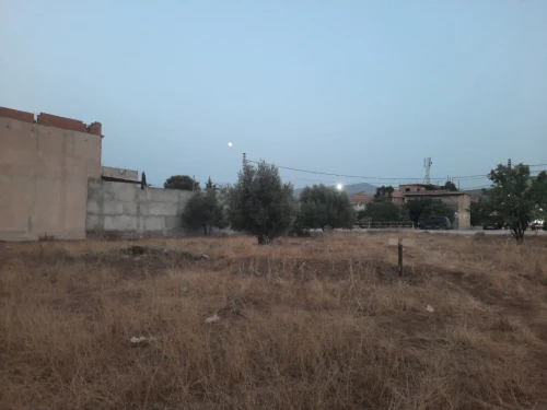 Vente Terrain Tlemcen Ain fezza