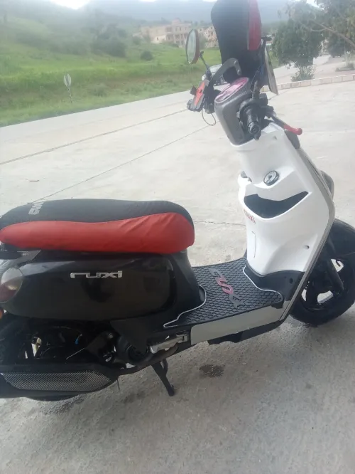 Vms cuxi Cuxi 2015