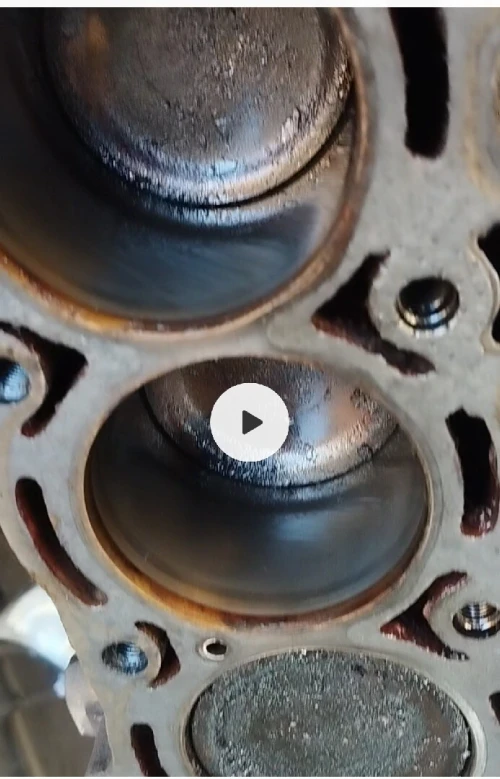 Moteur alto suzuki