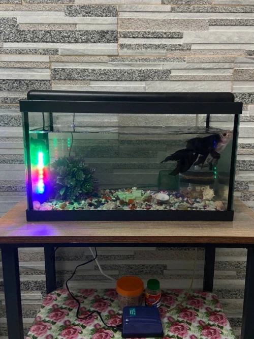 Aquarium