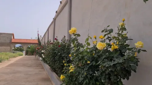 Vente Villa Oran Oran