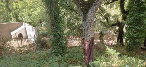 Vente Villa Annaba Seraidi