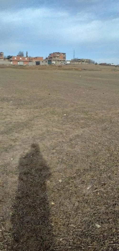 Vente Terrain Agricole Sétif Ain arnat