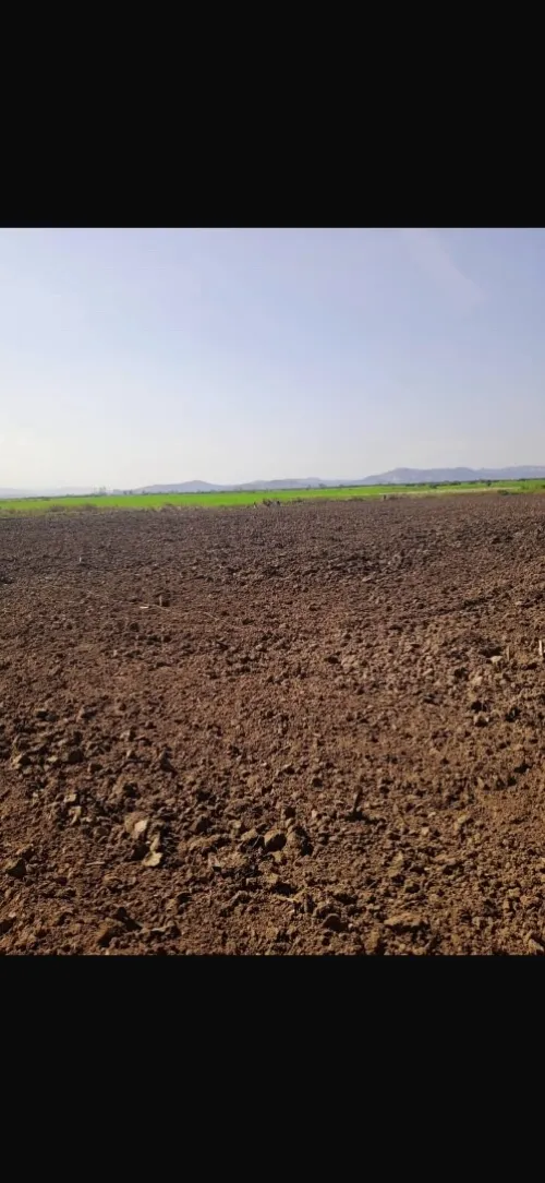 Vente Terrain Agricole Skikda Ben Azzouz