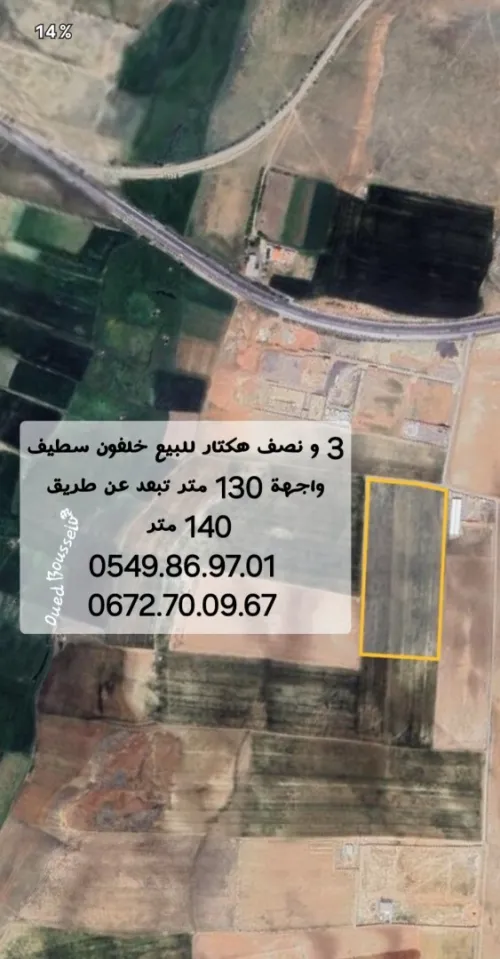 Vente Terrain Sétif Ain arnat