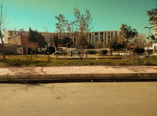 Location Local Alger Ain benian