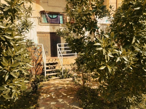 Location Local Alger Ain benian