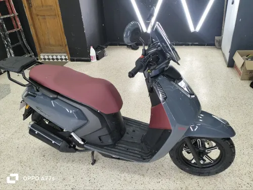 Vms Gemma 2025