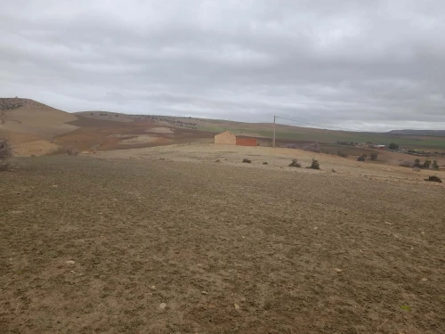 Vente Terrain Agricole Tiaret Sidi hosni