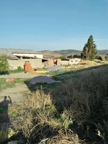 Vente Terrain Agricole Guelma Nechmaya