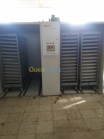 Vente Terrain Agricole Guelma Nechmaya