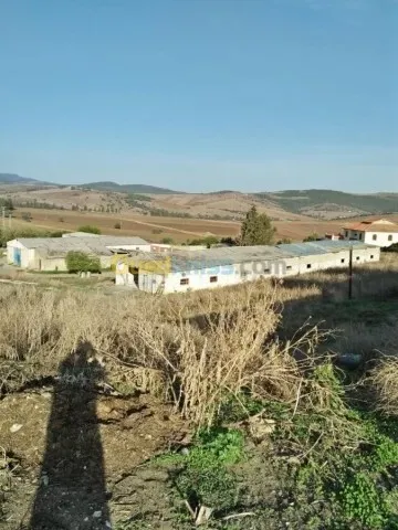 Vente Terrain Agricole Guelma Nechmaya