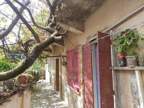 Cherche achat Terrain Médéa Berrouaghia