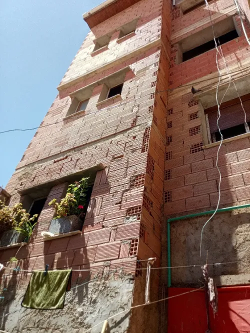 Vente Villa Alger Les eucalyptus