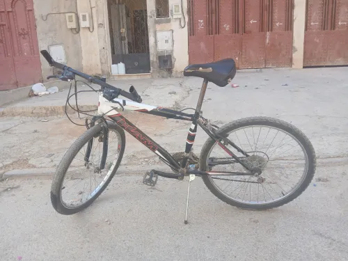 دارجة ham 