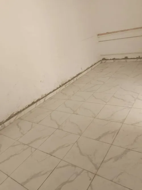 Location Appartement F5 Alger Bab el oued