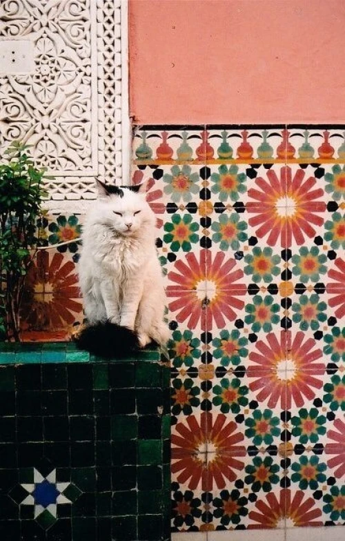 Carrelage mosaïque traditionnelle