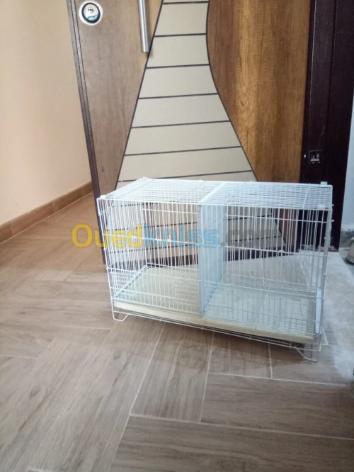 Cage oiseaux 