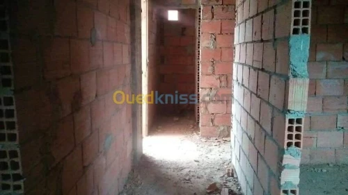 Vente Terrain Tipaza Hadjout
