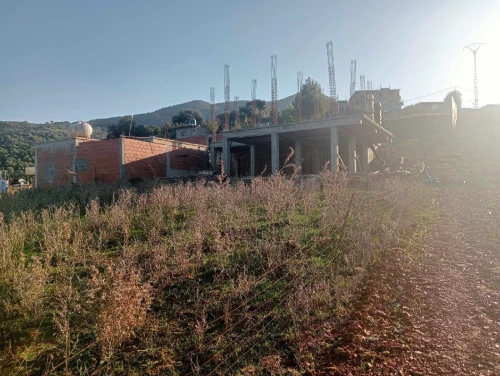 Vente Terrain Boumerdès Ammal