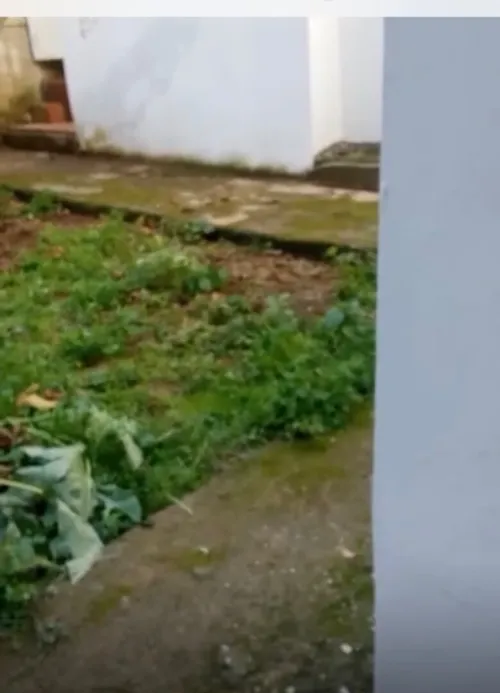 Location Appartement Niveau de villa Alger El biar