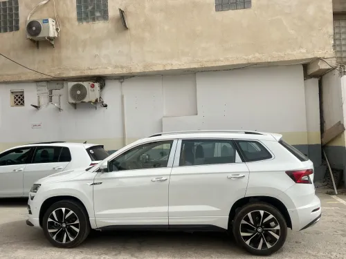 Skoda Karoq 2025 