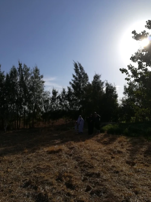 Vente Terrain Agricole M'Sila Bou saada
