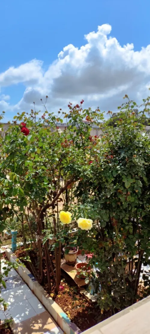 Vente Appartement F3 Alger Bordj el kiffan