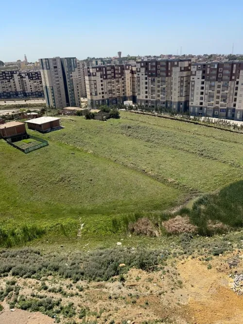 Vente Appartement F4 Alger Zeralda