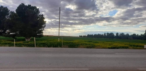 Vente Terrain Djelfa Ain oussara