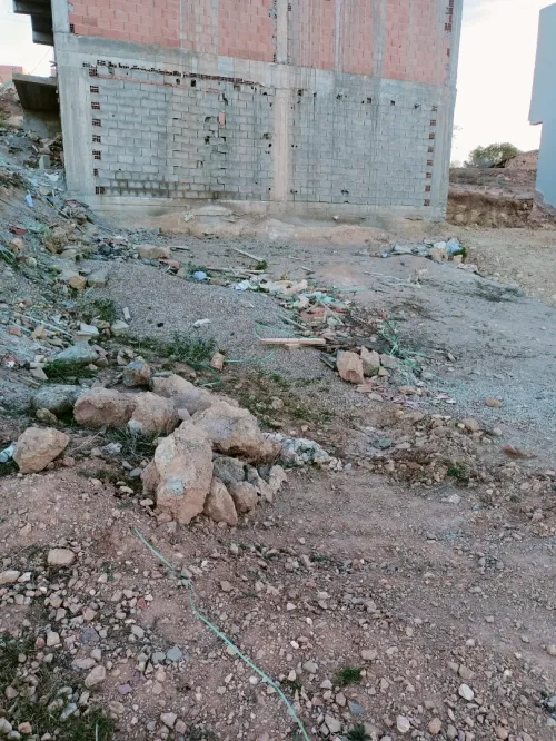 Vente Terrain Tlemcen Tlemcen
