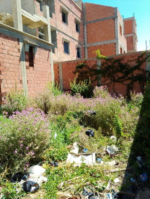 Vente Villa Alger Hraoua