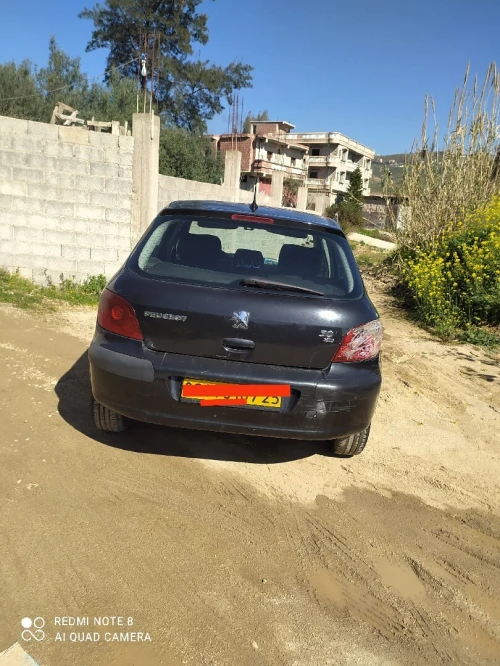 Peugeot 307 2007 Oxygo